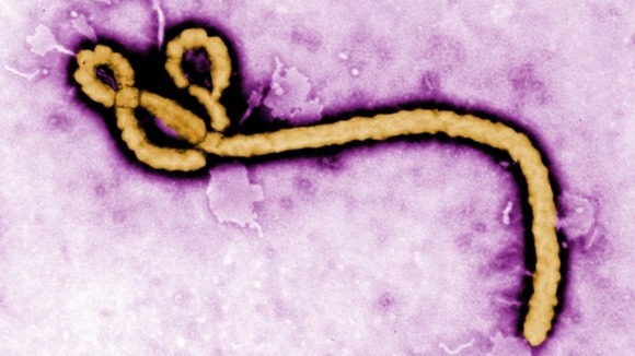 My Mortality and Ebola